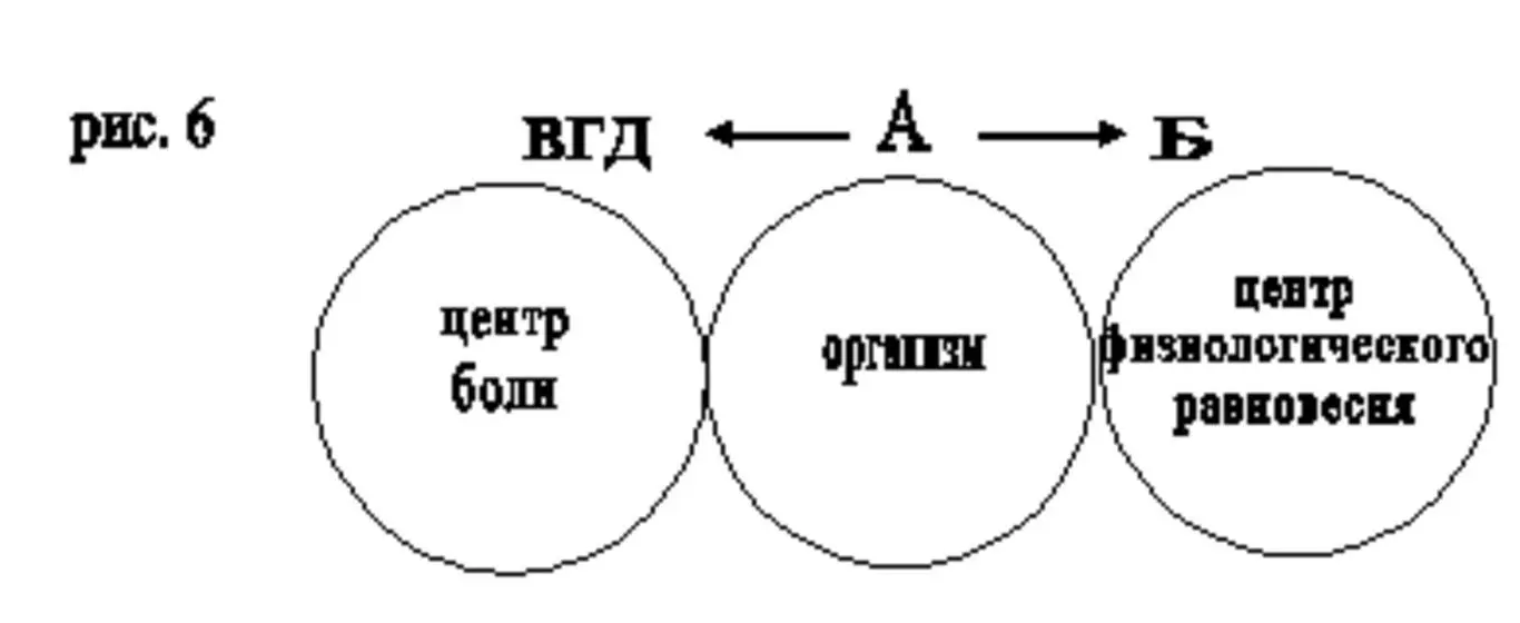 Но так происходит только до тех пор пока среда обитания остается привычной - фото 6