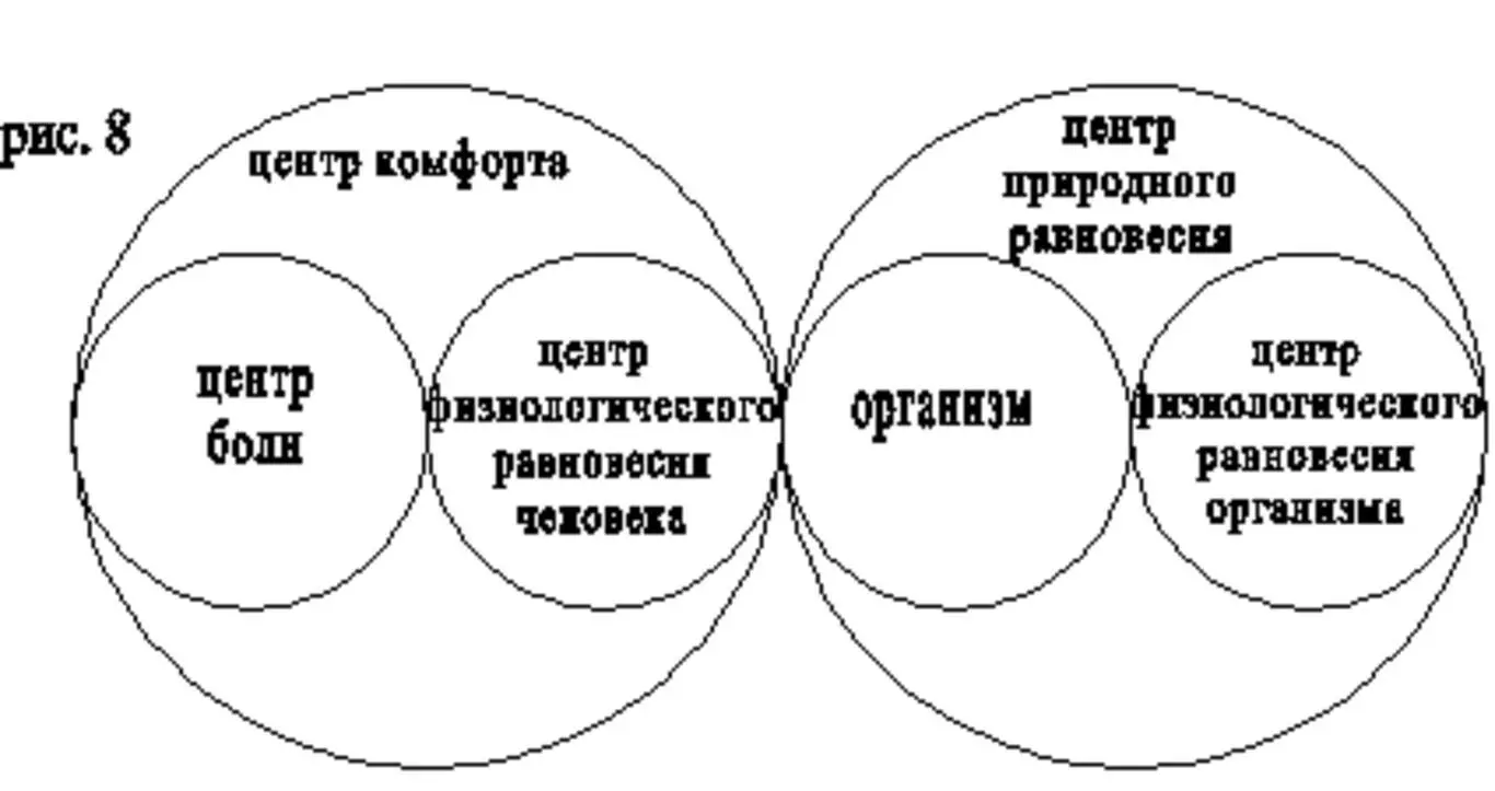 То обстоятельство что центр комфорта совпадает с центром физиологического - фото 8