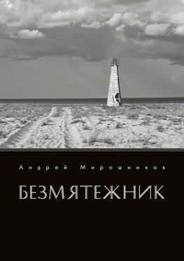 Андрей Мирошников Безмятежник обложка книги