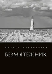 Андрей Мирошников - Безмятежник