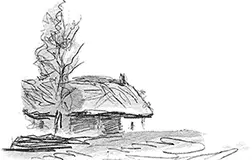 СанГотардская собака Описание Есть рядом две земли Швейцария и Италия - фото 38