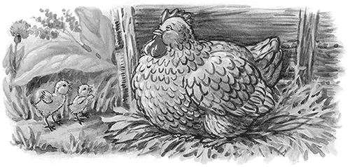 Как мужик убрал камень На площади в одном городе лежал огромный камень Камень - фото 71