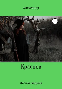 Александр Краснов Лесная ведьма обложка книги