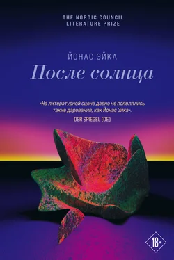 Йонас Эйка После солнца обложка книги