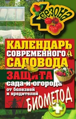 Светлана Ермакова - Календарь современного садовода. Защита сада и огорода от болезней и вредителей - биометод