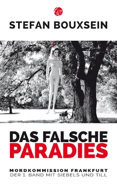 Stefan Bouxsein Das falsche Paradies обложка книги