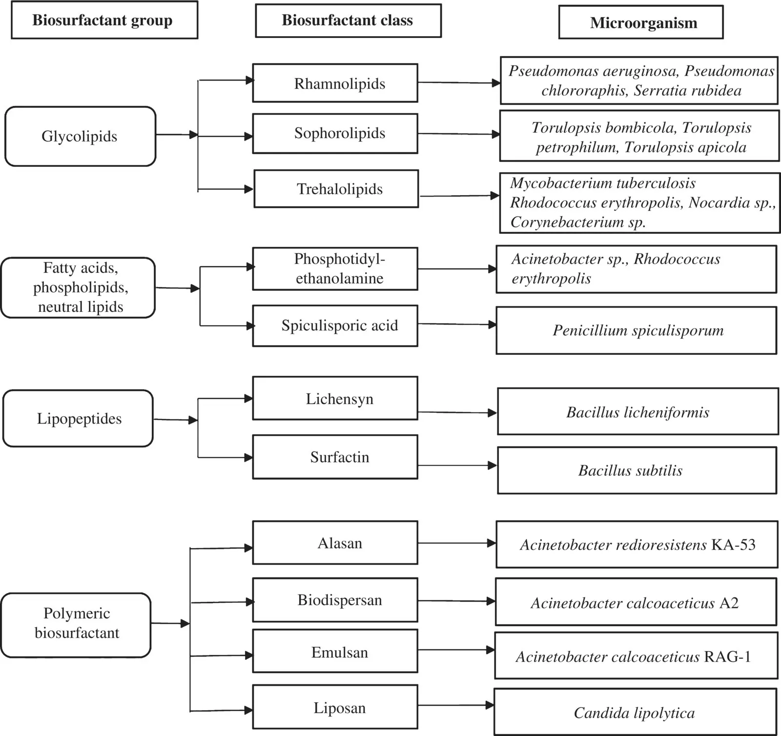 Figure 42 Classification of biosurfactants and the respective producing - фото 73