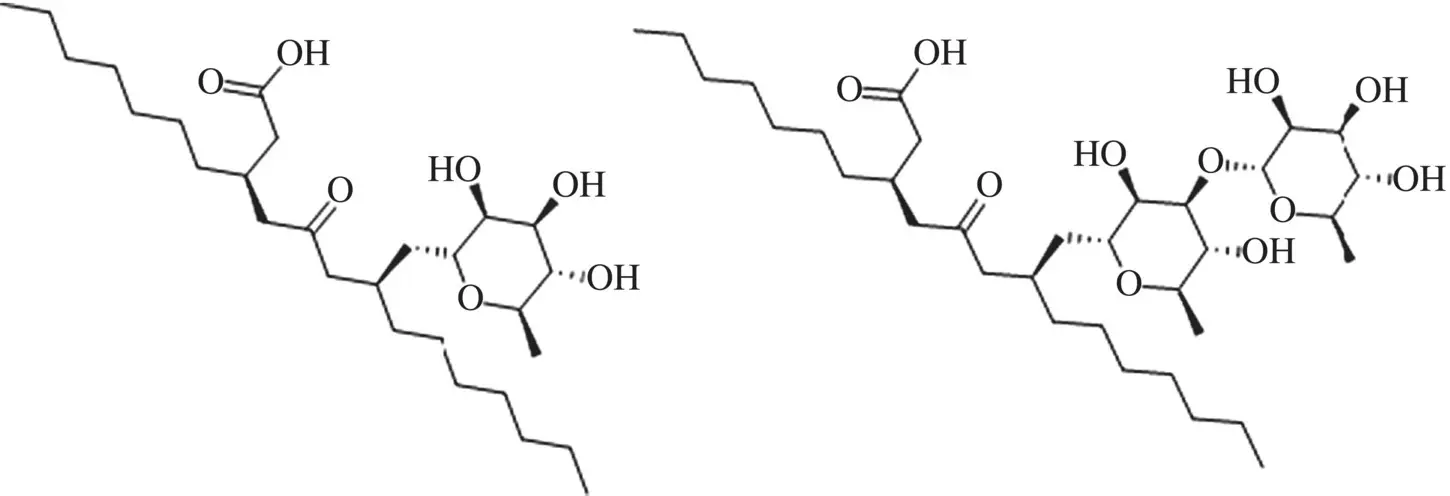 Figure 17 Structure of biosurfactants monorhamnose and dirhamnose rhamnolipids - фото 63