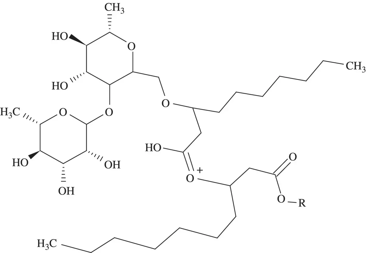 Figure 43 Structure of dirhamnolipid 463 Sophorolipids Torulopsis sp - фото 74