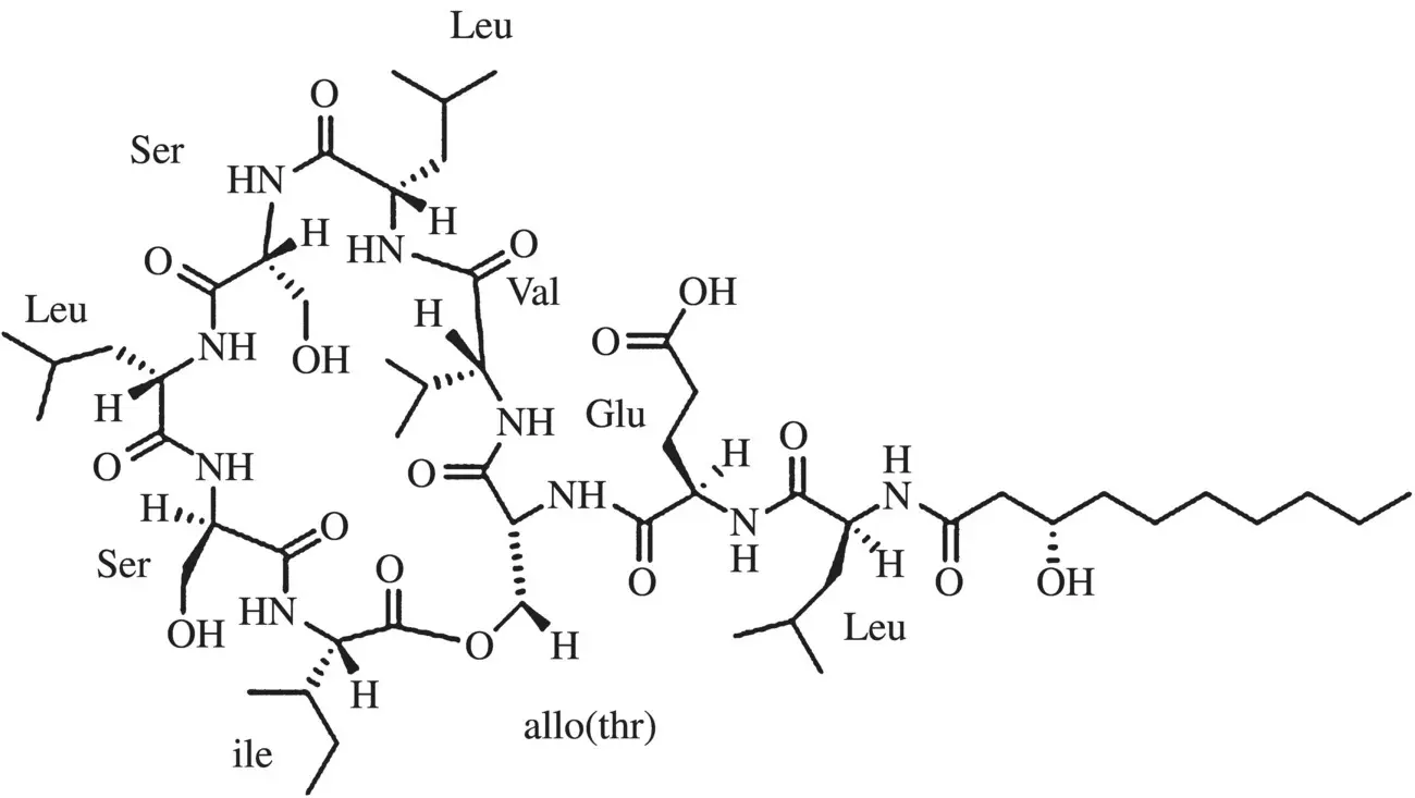 Figure 16 Structure of viscosin Source Saini et al 164 Reproduced by - фото 62