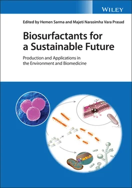 Неизвестный Автор Biosurfactants for a Sustainable Future обложка книги