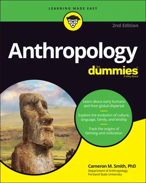 Cameron M. Smith Anthropology For Dummies обложка книги