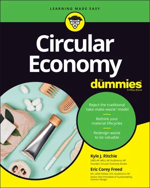 Eric Corey Freed Circular Economy For Dummies обложка книги