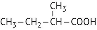 2Methylbutyric CH 3CH 2 4COOH Caproic 205 Traces Hexanoic acid - фото 95