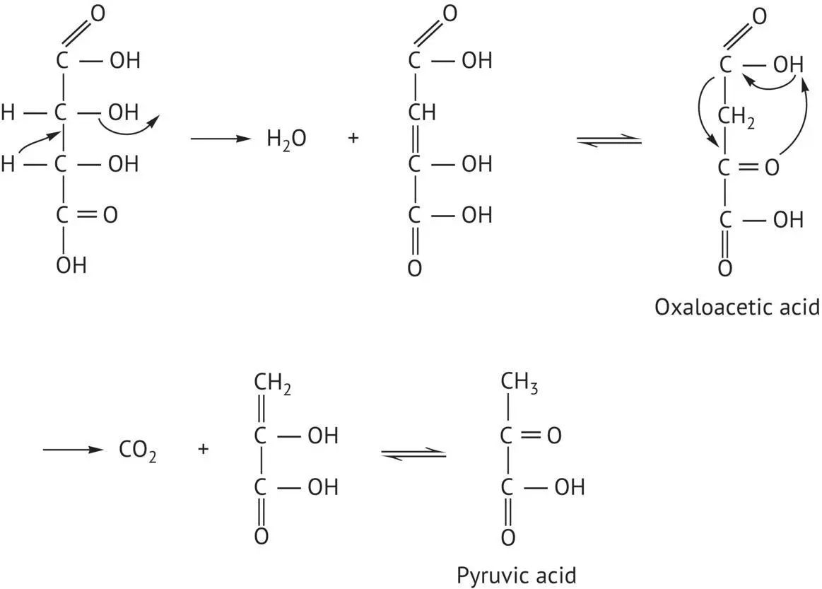 FIGURE 119 Impurities in metatartaric acid Metatartaric acid acts by opposing - фото 72