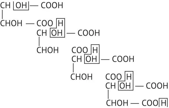 FIGURE 118 Polyesterification reaction involved in the formation of - фото 71