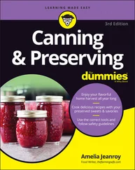 Amelia Jeanroy - Canning &amp; Preserving For Dummies