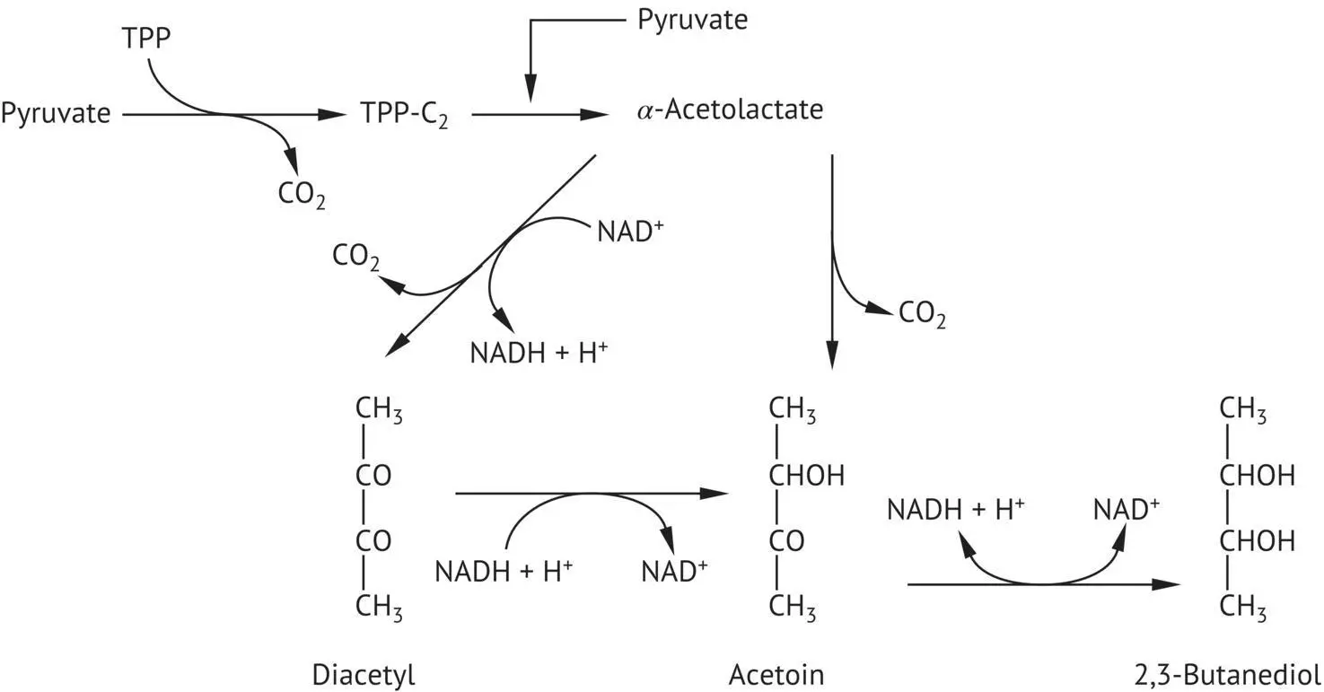 FIGURE 217 Acetoin diacetyl and 23butanediol formation by yeasts under - фото 64