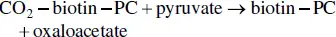 Under these anaerobic conditions the citric acid cycle cannot be completed - фото 55