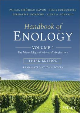 Pascal Ribéreau-Gayon Handbook of Enology: Volume 1 обложка книги