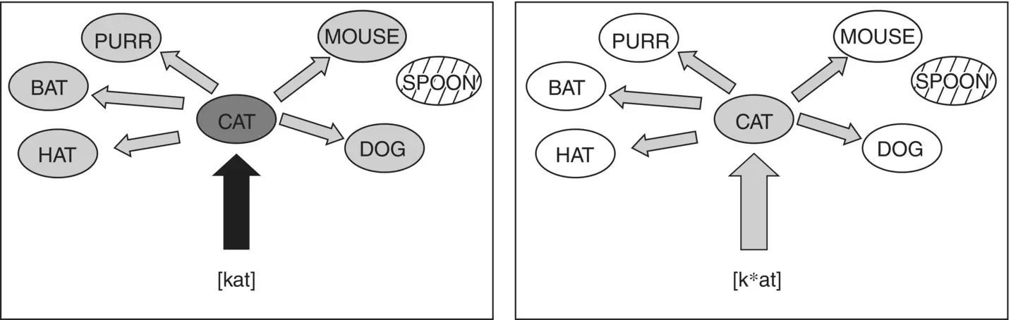 Figure 51 Several properties of the functional architecture of auditory word - фото 17