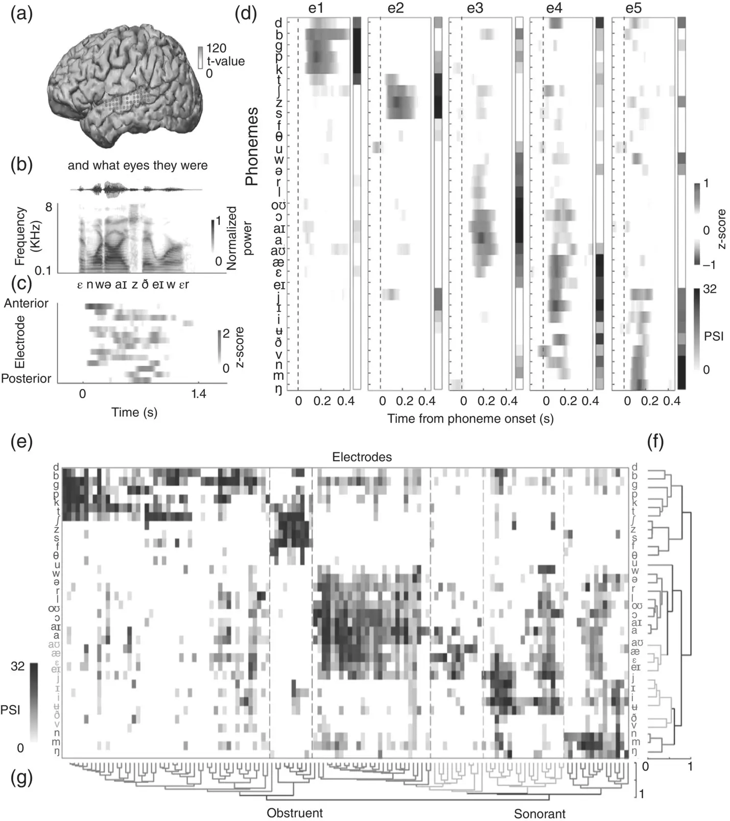 Figure 37 Featurebased representations in the human STG a shows - фото 11
