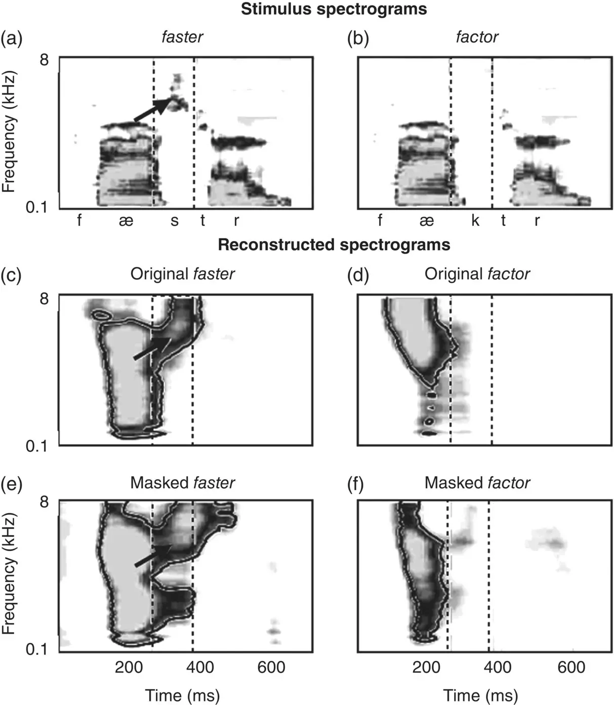 Figure 39 The human brain reinstates missing auditory representations a and - фото 13