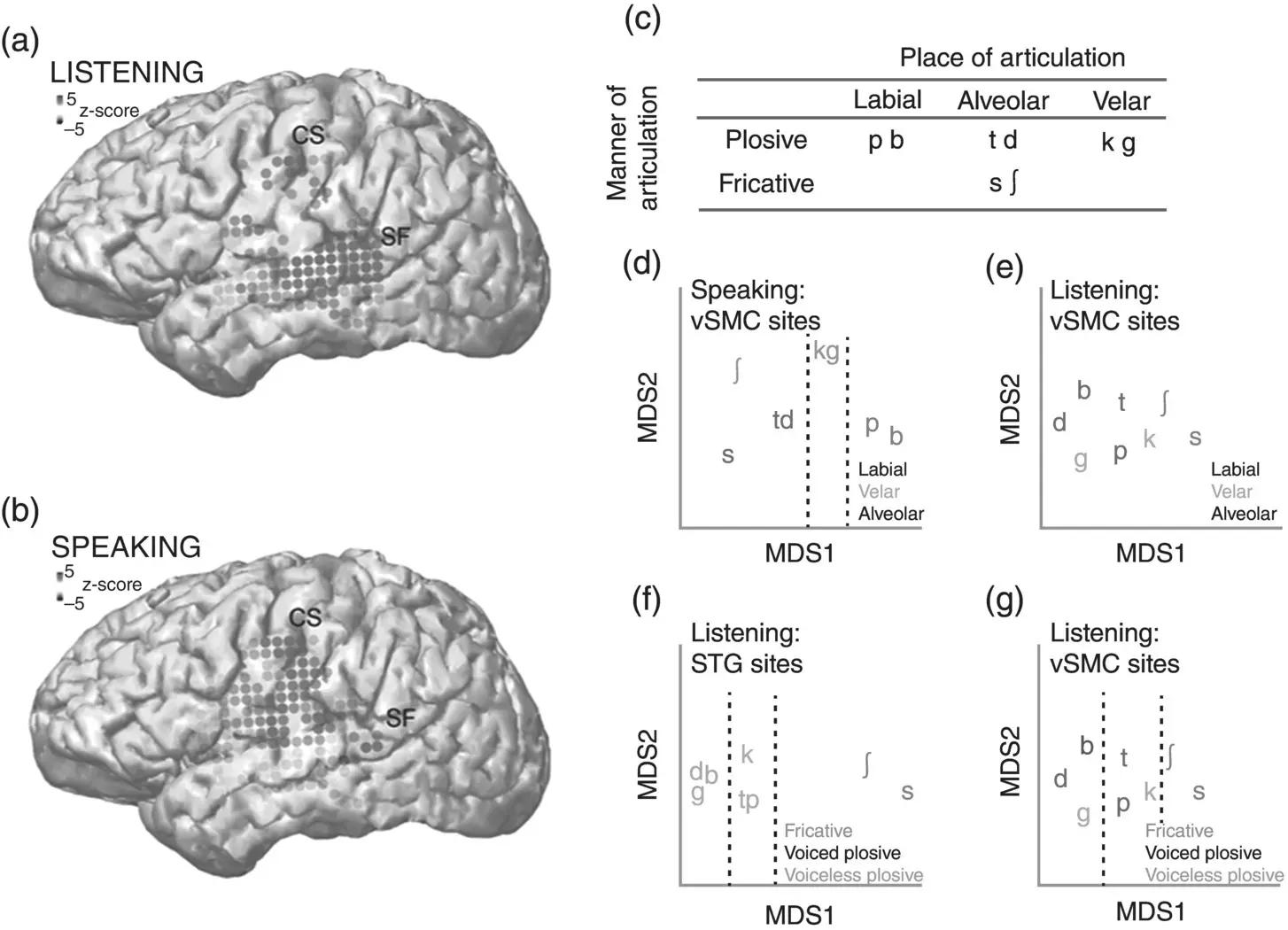 Figure 38 Featurebased representations in the human sensorimotor cortex a - фото 12