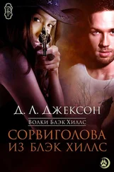 Д. Л. Джексон - Сорвиголова из Блэк Хиллс (ЛП)