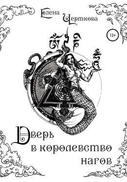 Елена Черткова Дверь в королевство нагов обложка книги