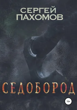 Сергей Пахомов Седобород обложка книги
