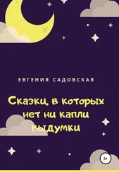 Евгения Садовская - Сказки, в которых нет ни капли выдумки