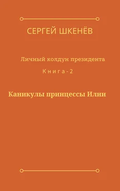 Сергей Шкенёв Каникулы принцессы Илии обложка книги