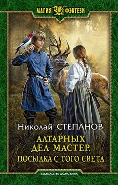 Николай Степанов Алтарных дел мастер. Посылка с того света обложка книги