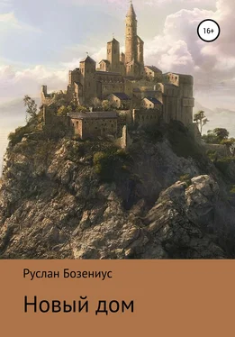 Руслан Бозениус Новый дом обложка книги