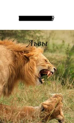 Іван Пташнікаў - Львы