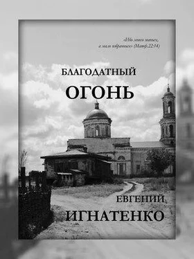 Евгений Игнатенко Благодатный огонь обложка книги