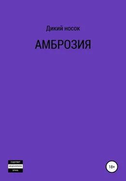 Дикий Носок Амброзия обложка книги