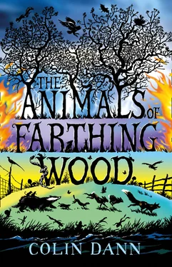 Colin Dann The Animals of Farthing Wood обложка книги