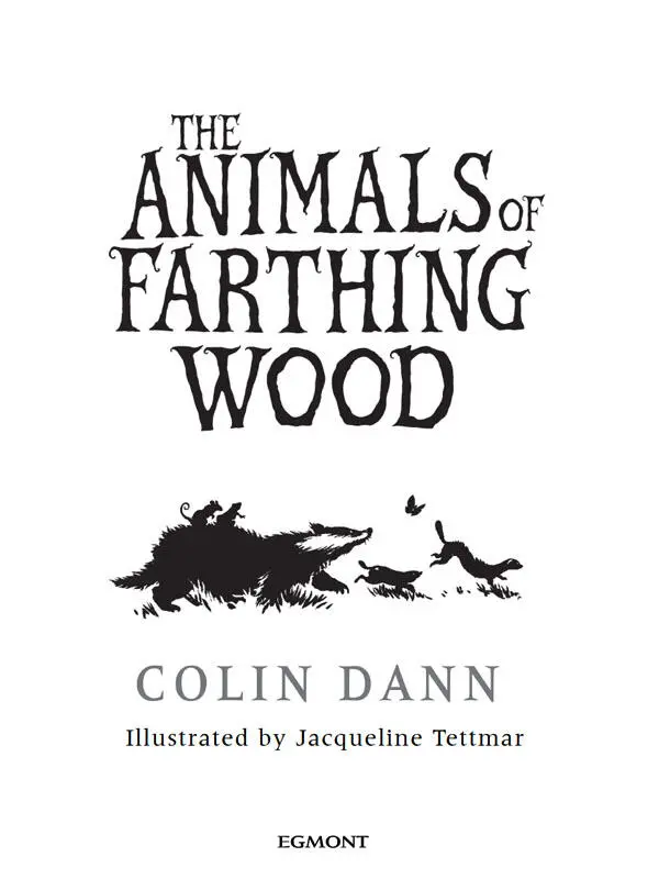 The Animals of Farthing Wood - изображение 1