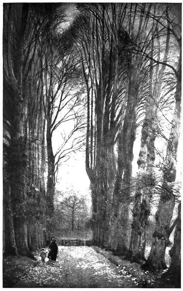 THAT SPLENDID AVENUE OF LIMES Its track must have crossed the highroad at a - фото 101