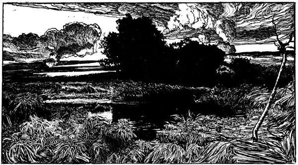 THE HEADWATERS WHICH FORM THE ITCHEN THE ALRE AND OTHER STREAMS It might be - фото 91