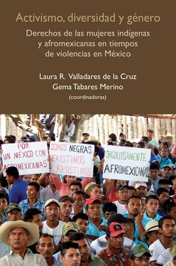 Laura Raquel Valladares de la Cruz Activismo, diversidad y género обложка книги
