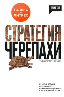 Дэвид Тзор Стратегия черепахи обложка книги