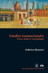 José Federico Besserer Alatorre - Estudios transnacionales