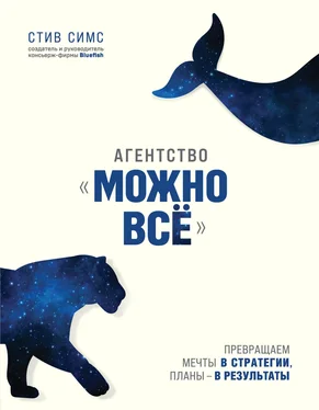 Стив Симс Агентство «Можно всё». Превращаем мечты в стратегии, планы – в результаты обложка книги