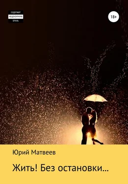 Юрий Матвеев Жить! Без остановки… обложка книги