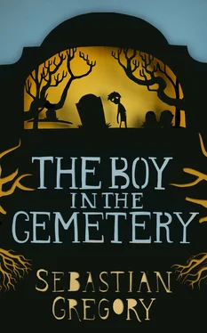 Sebastian Gregory The Boy In The Cemetery обложка книги