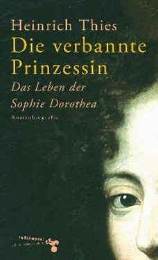 Heinrich Thies Die verbannte Prinzessin обложка книги