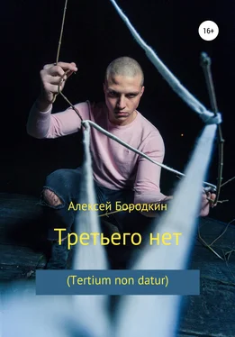 Алексей Бородкин Третьего нет (Tertium non datur) обложка книги